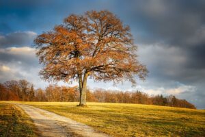 Paysage fin février